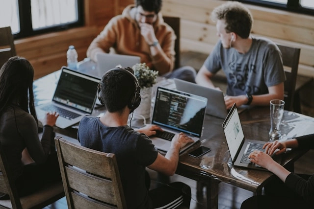 IT team for ERP support