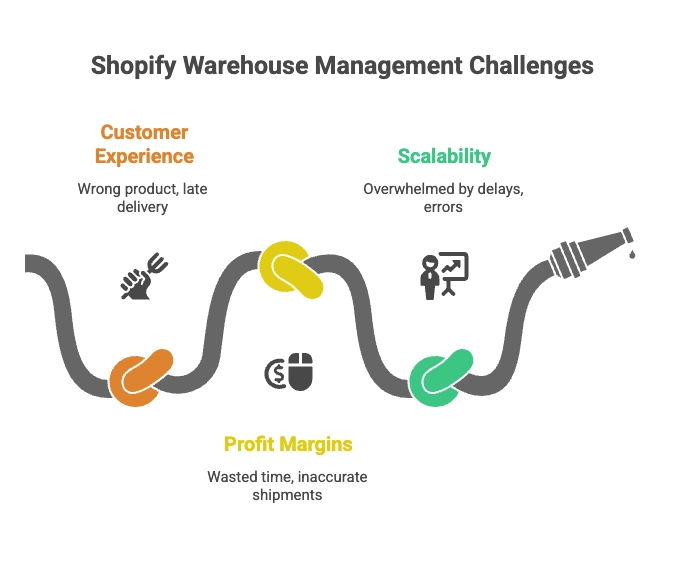 warehouse management system, warehouse layout, small businesses